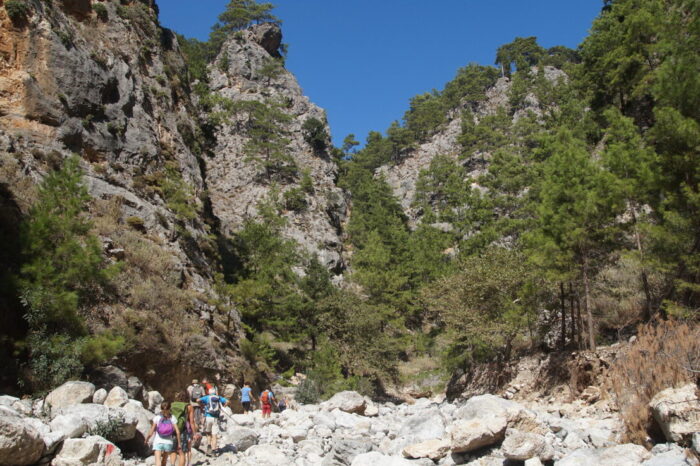Agia Irini Gorge Tour 2025 05.05.2025